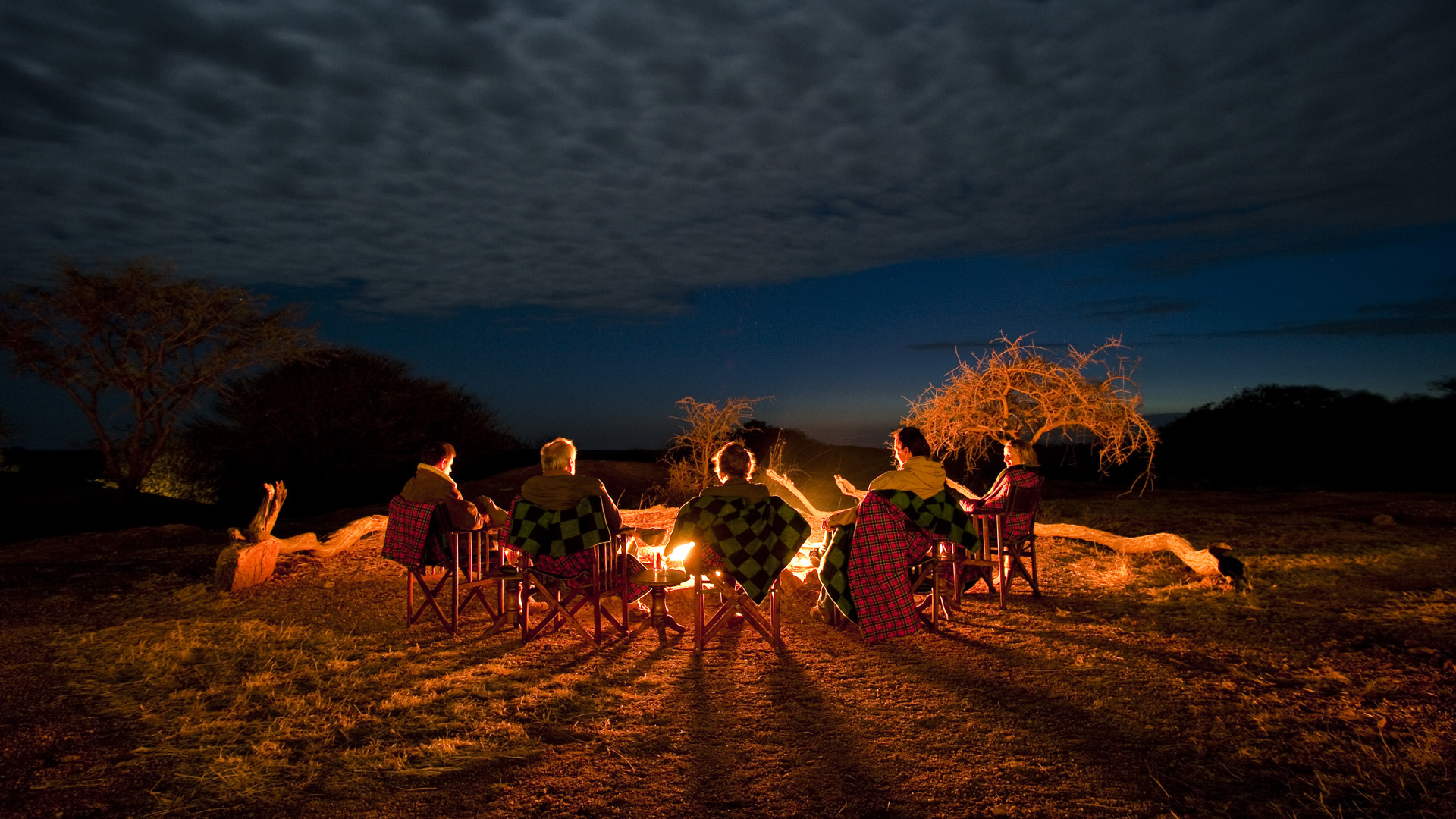 "Under the Stars: Practical Tips for a Comfortable Night Safari"